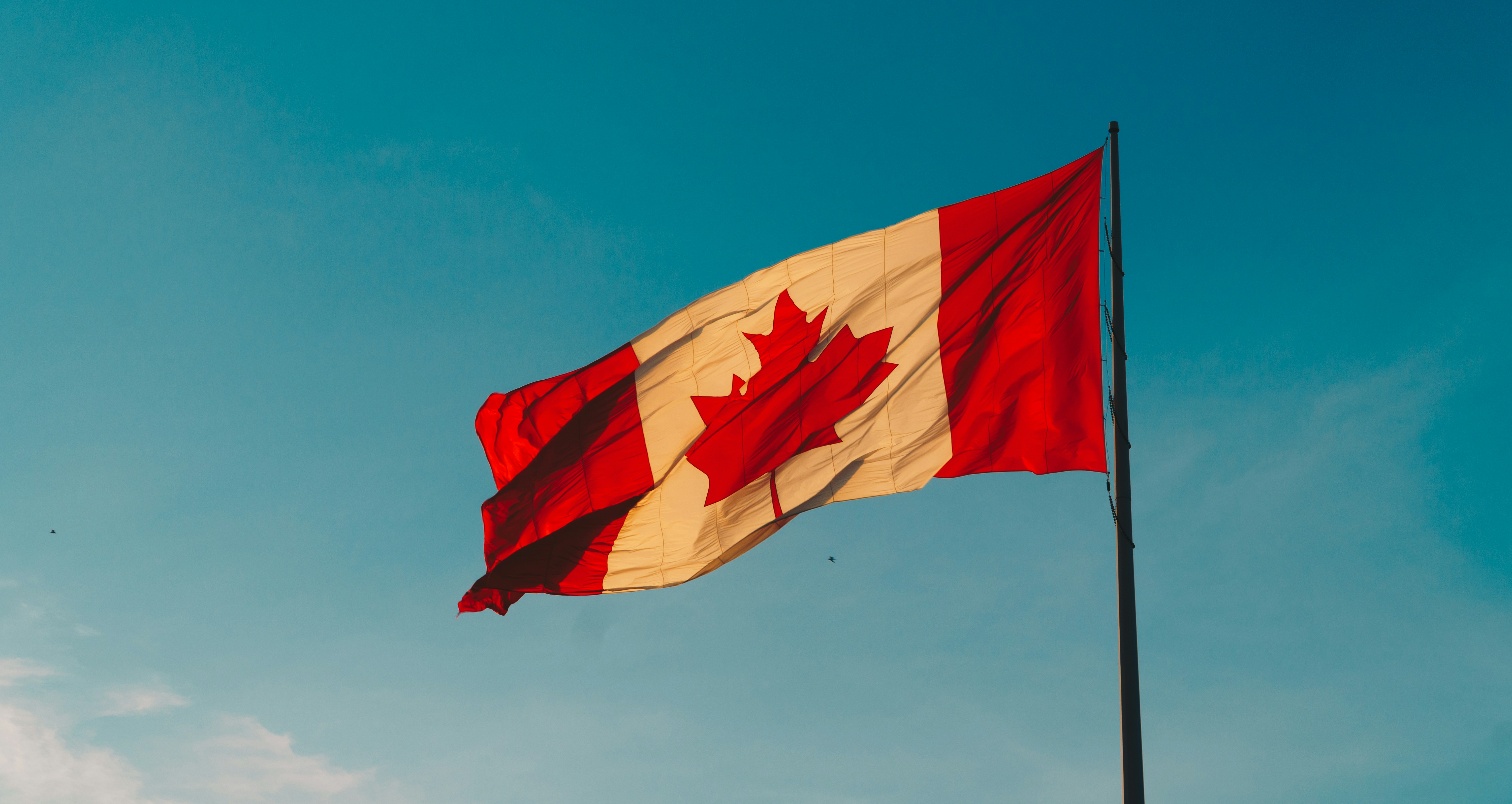 Learn the pros and cons of outsourcing to Canada. Explore labor laws, tax compliance, and best practices for managing Canadian outsourced teams.